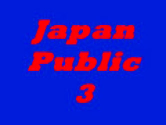 Japanese Public 3  N15