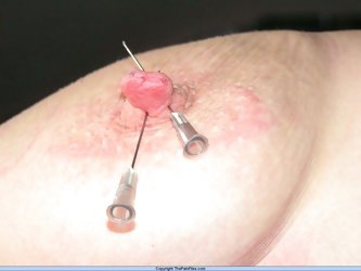Metalclamped tits and needle tormented