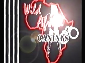 Wild Africa Canings:  Female Pri...