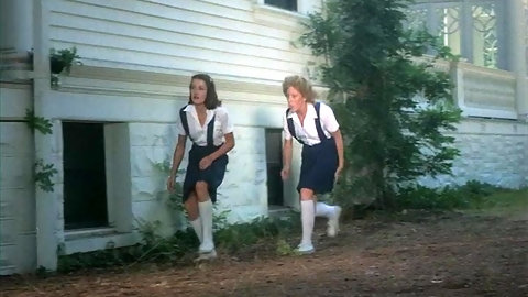 Little girls blue (1977)