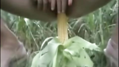 Amateur slut masturbating in public video. Another amateur porn vidz with a slut using a corn to have fun. See more outdoor porn